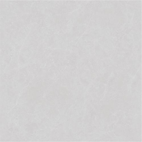 HVF8006--C
