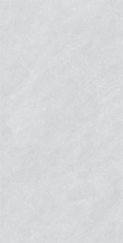 F480007-D