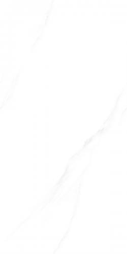 F480061D