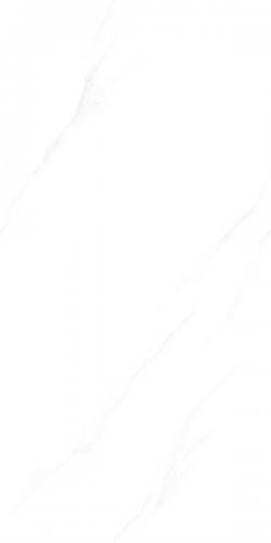 F480061c
